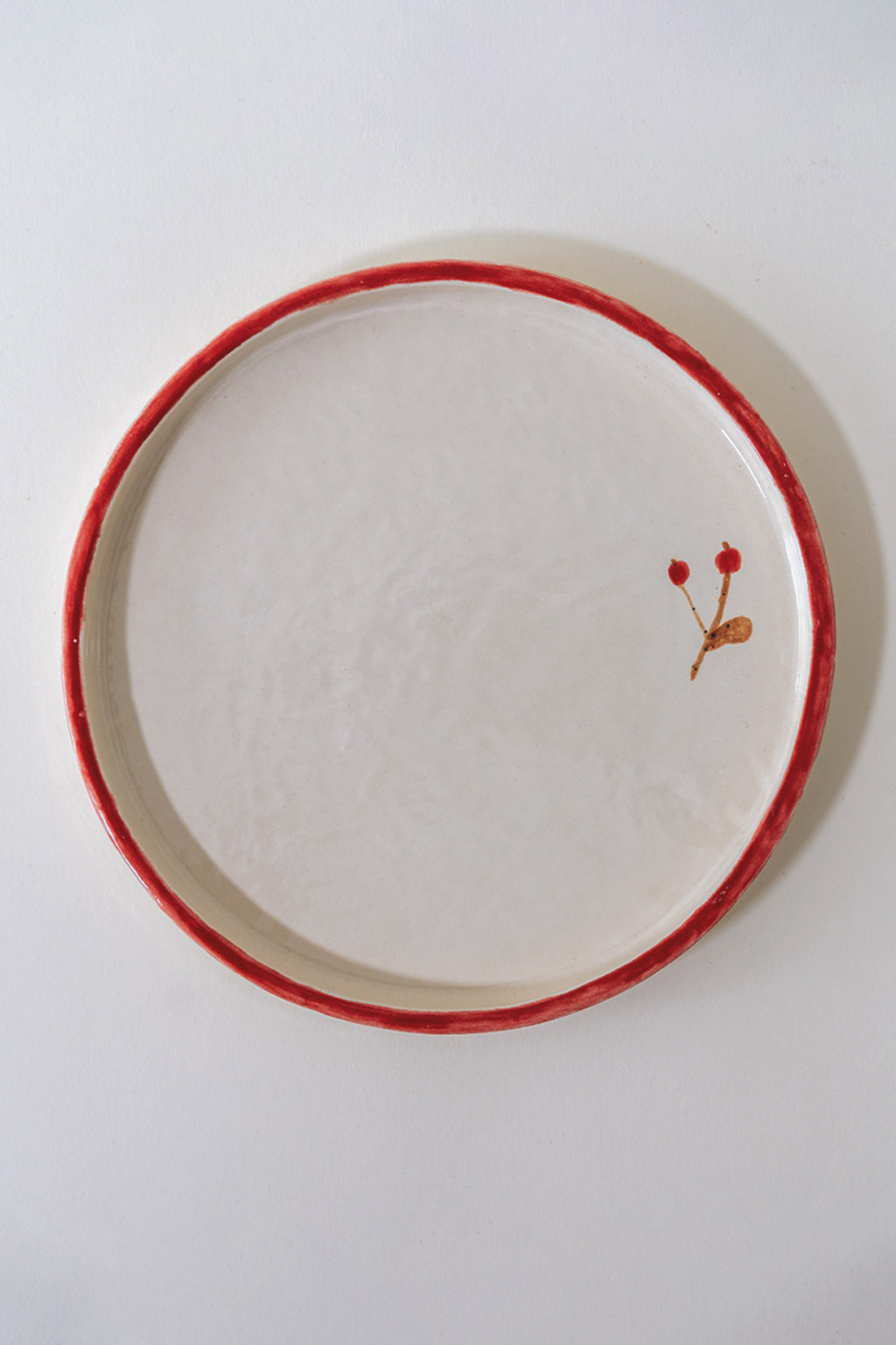 COLOR EDGE PLATES – 6 PIECE SET
