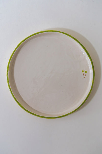 COLOR EDGE PLATES – 6 PIECE SET
