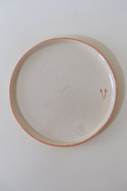 COLOR EDGE PLATES – 6 PIECE SET