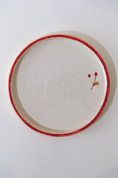COLOR EDGE PLATES – 6 PIECE SET