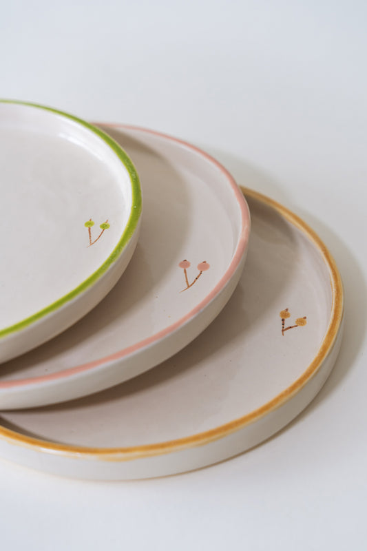 COLOR EDGE PLATES – 6 PIECE SET